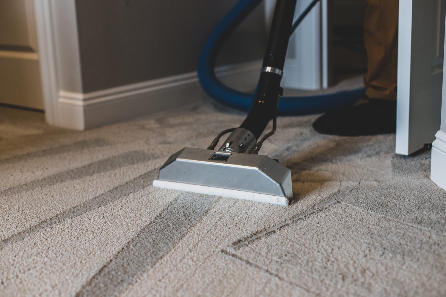 Choose the best among the best at Carpet Cleaning Point Cook